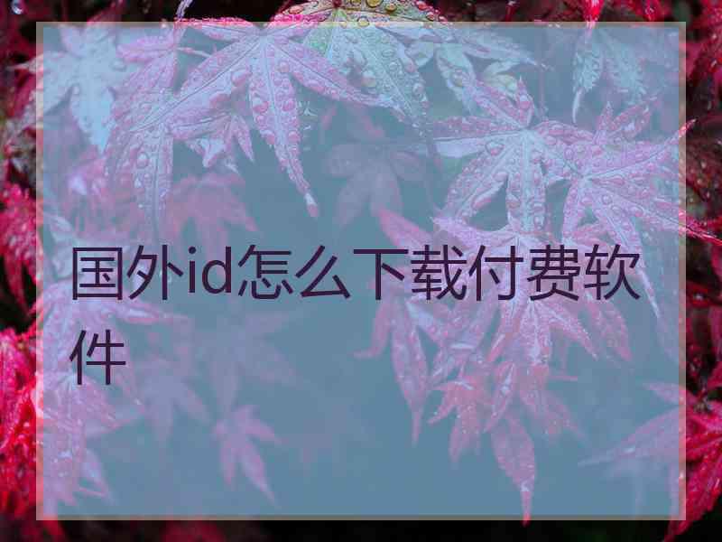 国外id怎么下载付费软件