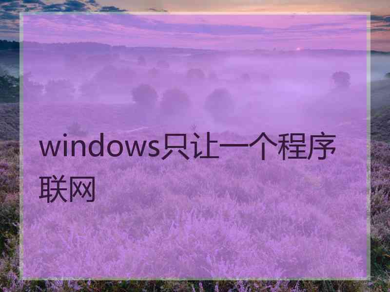 windows只让一个程序联网