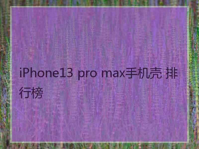 iPhone13 pro max手机壳 排行榜