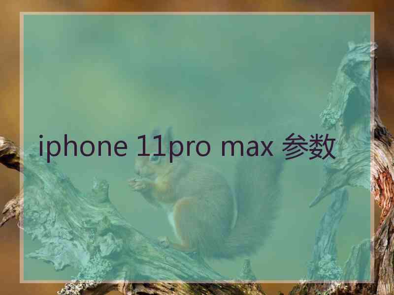 iphone 11pro max 参数