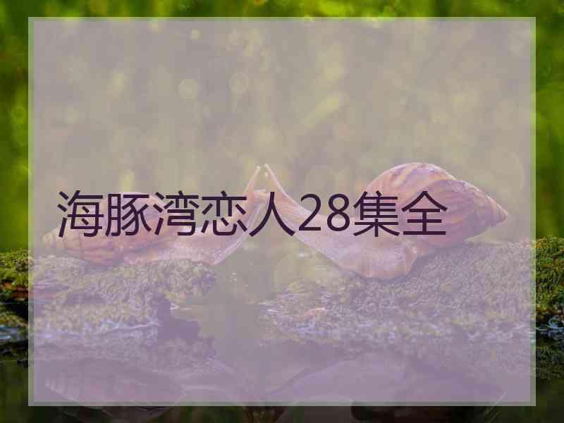 海豚湾恋人28集全