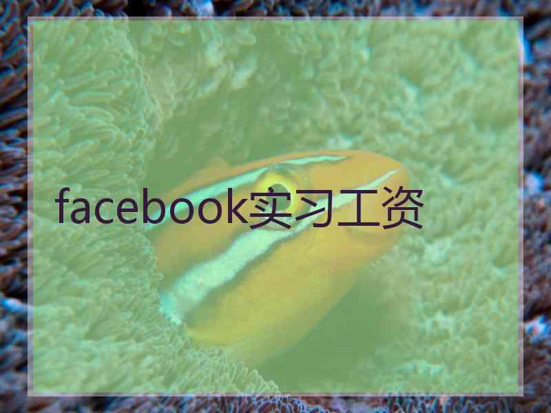 facebook实习工资