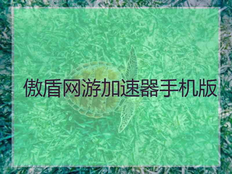 傲盾网游加速器手机版