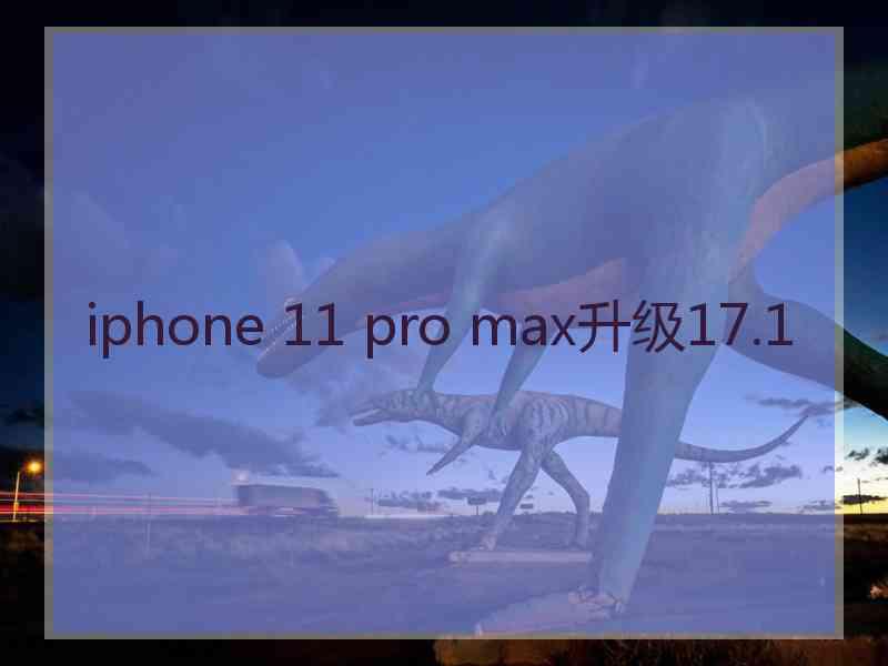 iphone 11 pro max升级17.1