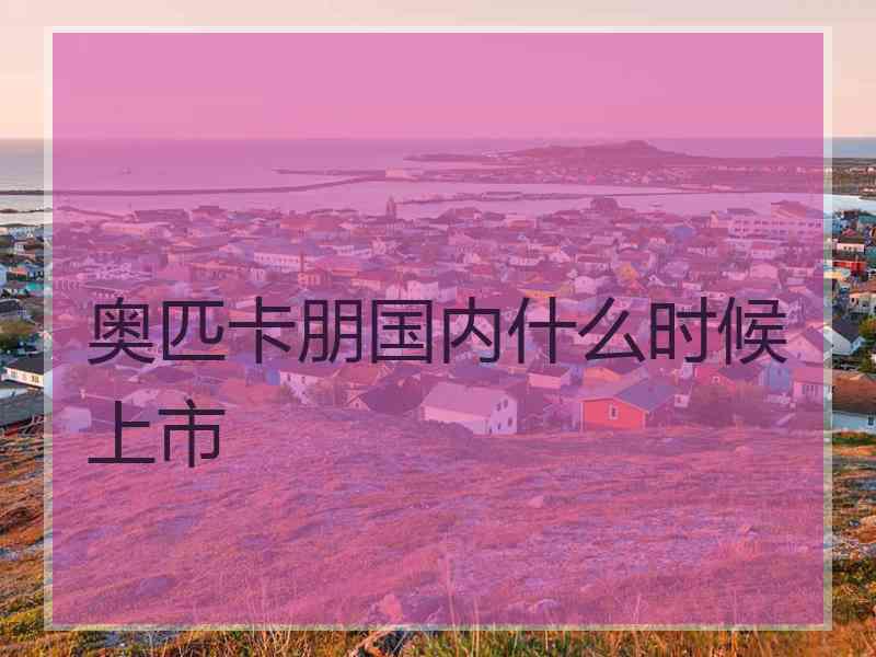 奥匹卡朋国内什么时候上市