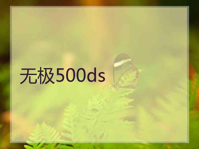 无极500ds