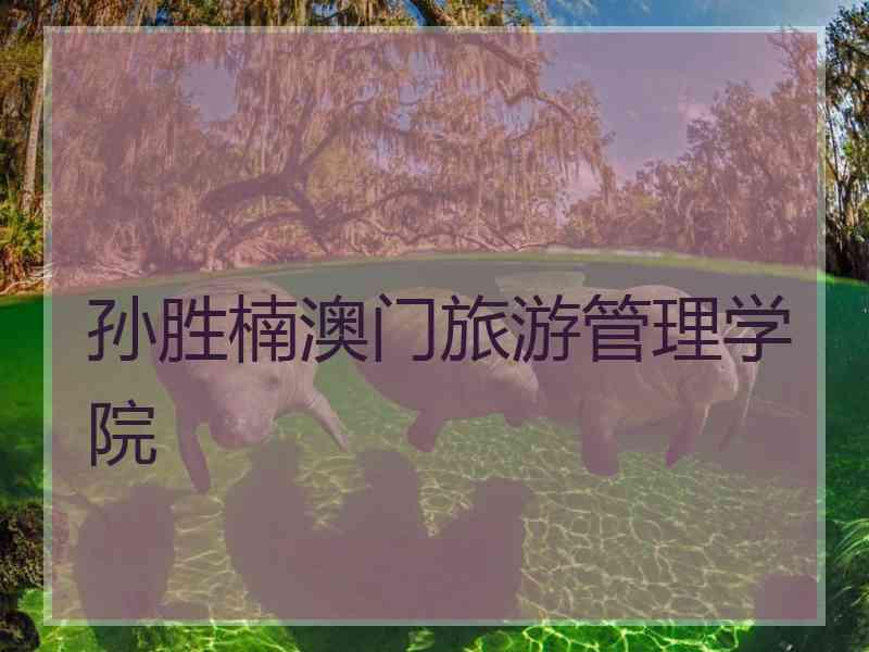 孙胜楠澳门旅游管理学院