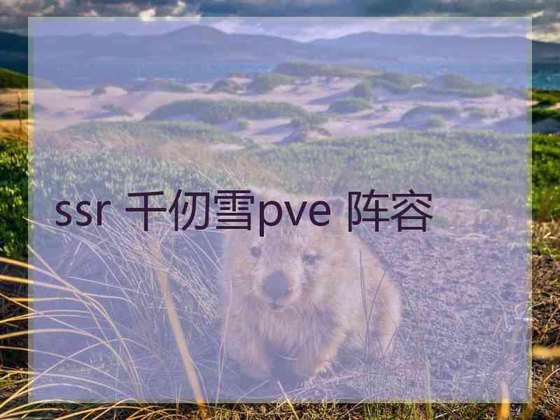 ssr 千仞雪pve 阵容