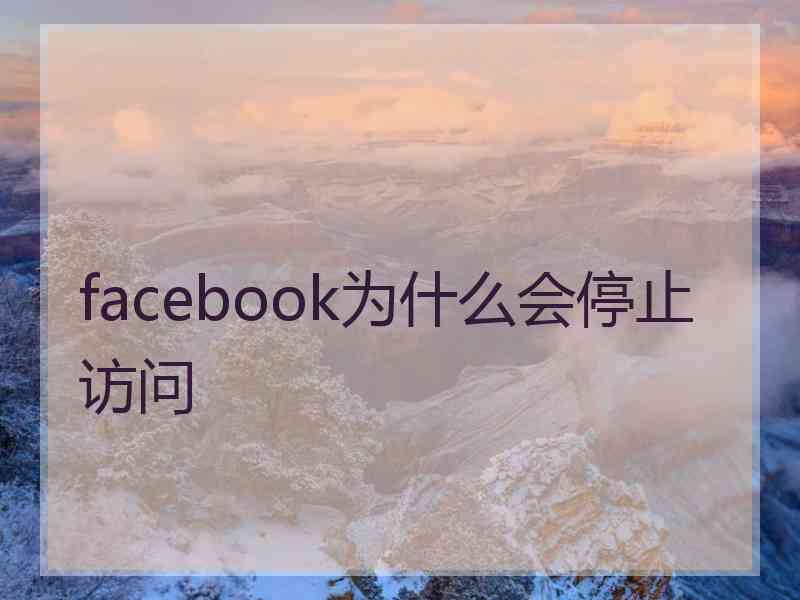 facebook为什么会停止访问