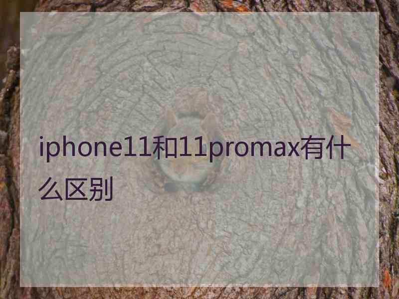 iphone11和11promax有什么区别