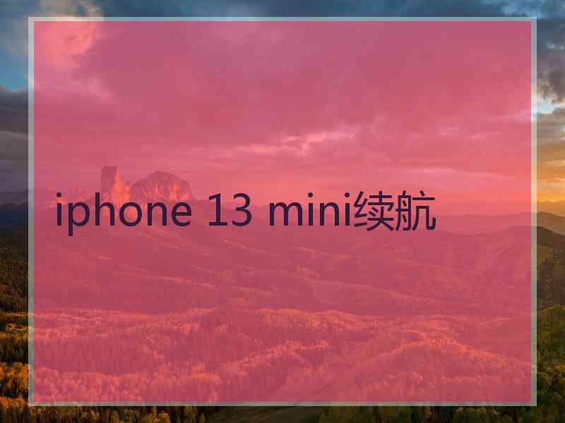 iphone 13 mini续航