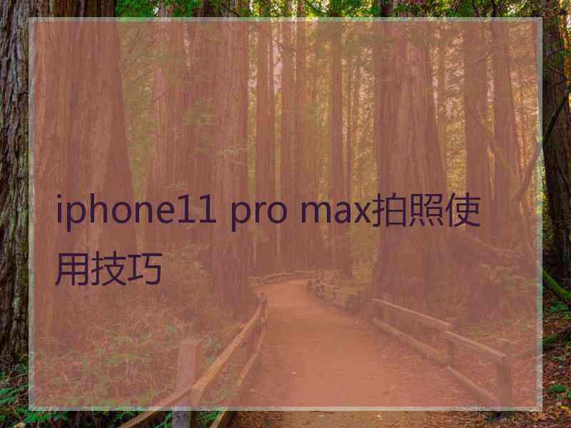 iphone11 pro max拍照使用技巧