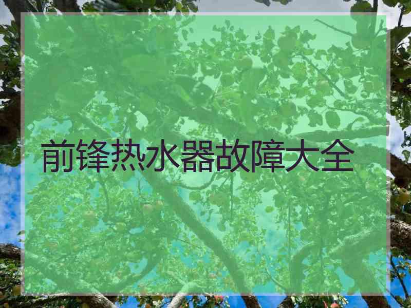 前锋热水器故障大全