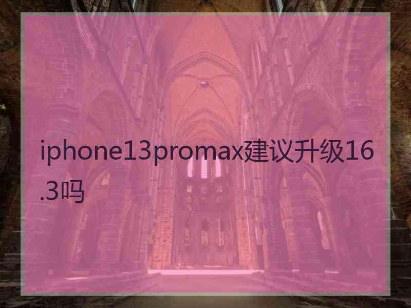 iphone13promax建议升级16.3吗