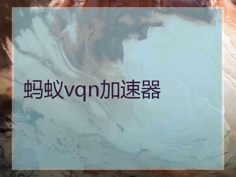 蚂蚁vqn加速器