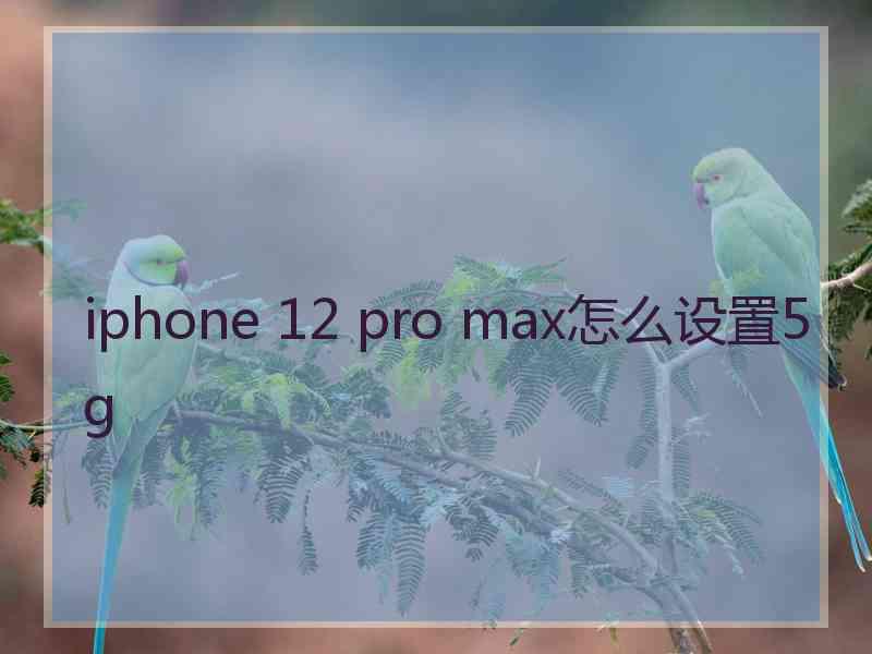 iphone 12 pro max怎么设置5g