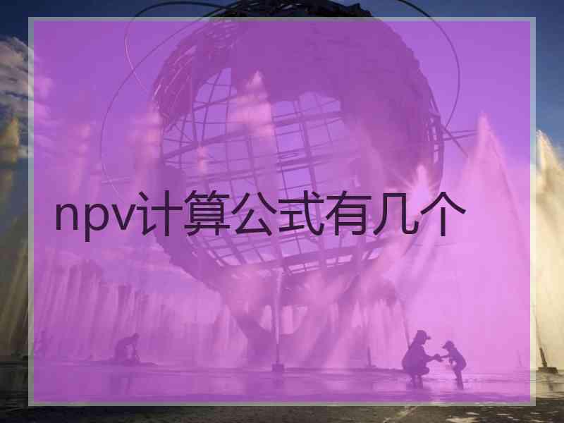 npv计算公式有几个