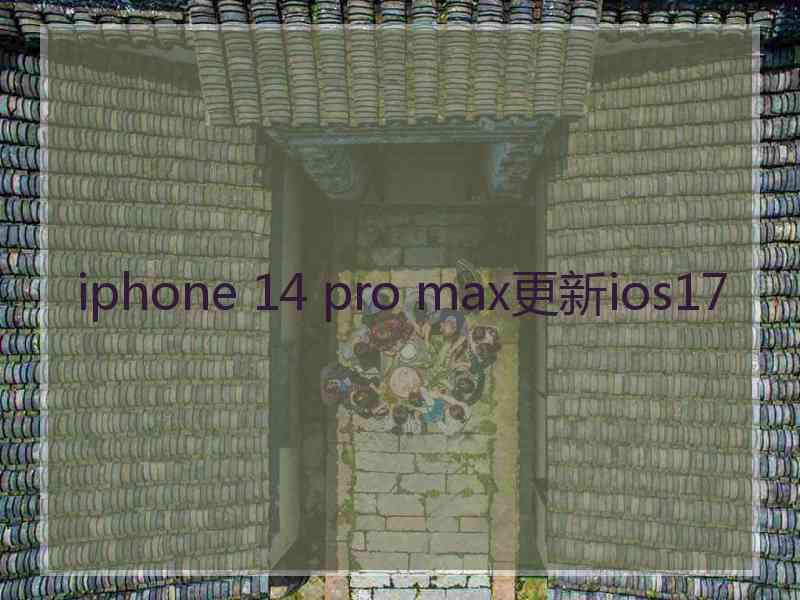 iphone 14 pro max更新ios17