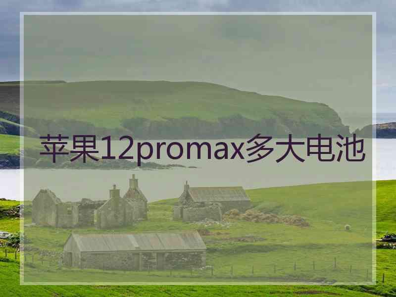 苹果12promax多大电池