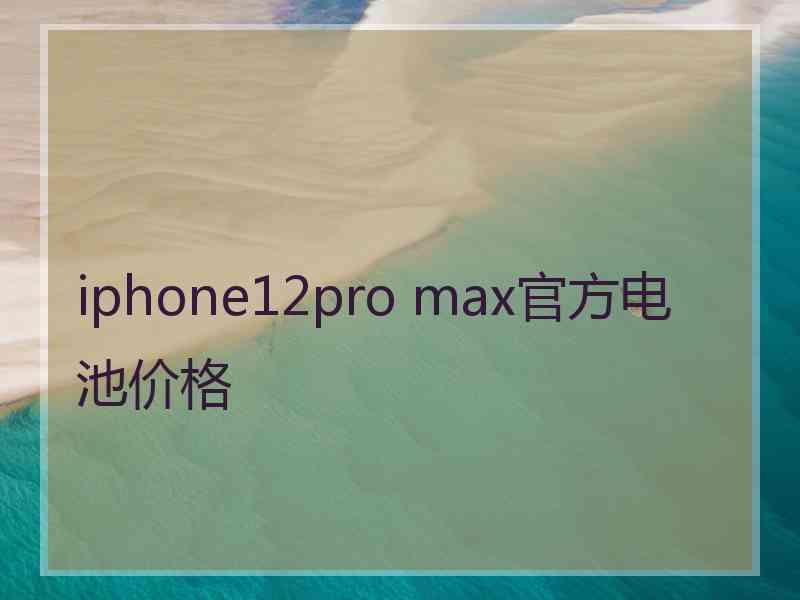 iphone12pro max官方电池价格