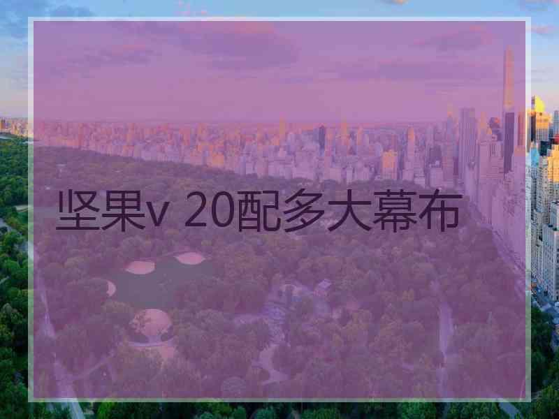 坚果v 20配多大幕布