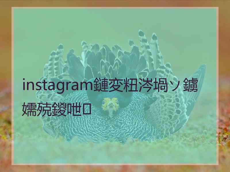 instagram鏈変粈涔堝ソ鐪嬬殑鍐呭