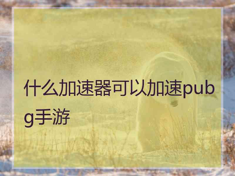 什么加速器可以加速pubg手游