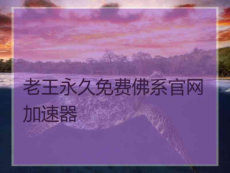 老王永久免费佛系官网加速器