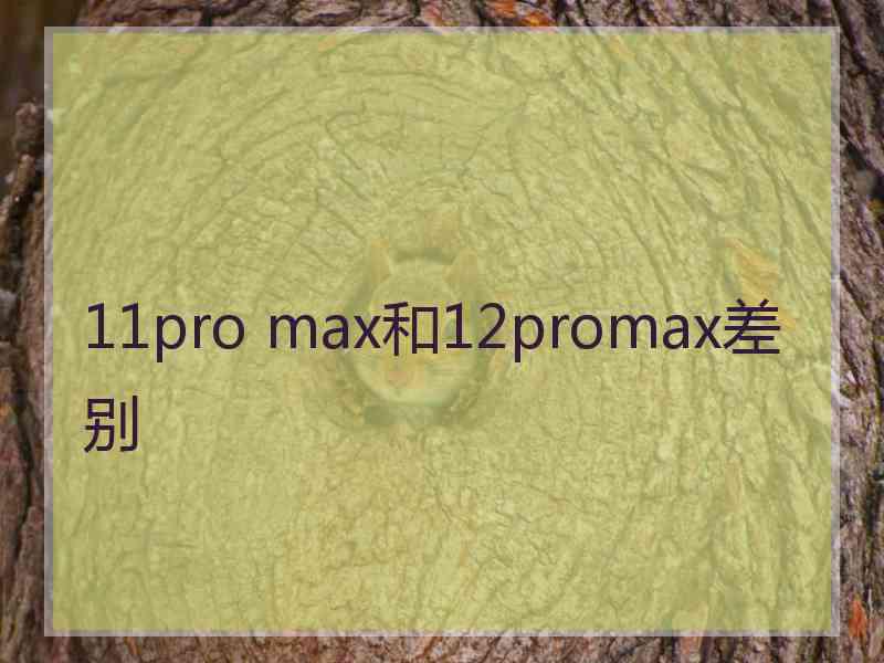 11pro max和12promax差别