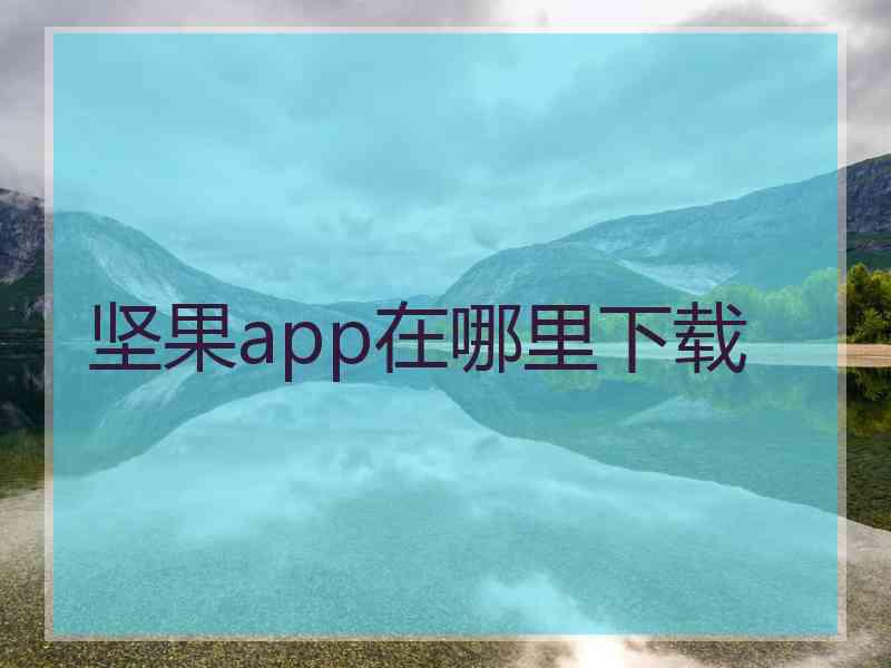 坚果app在哪里下载