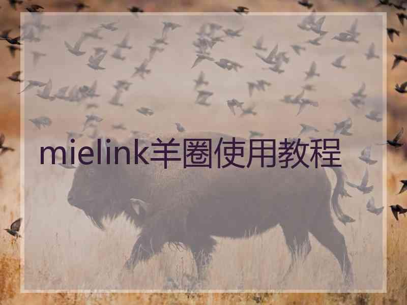 mielink羊圈使用教程