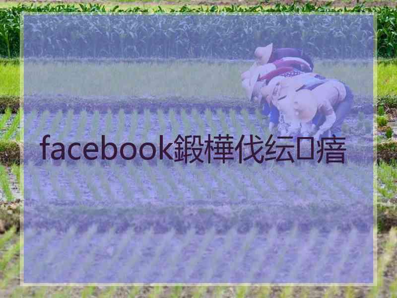 facebook鍛樺伐纭瘖