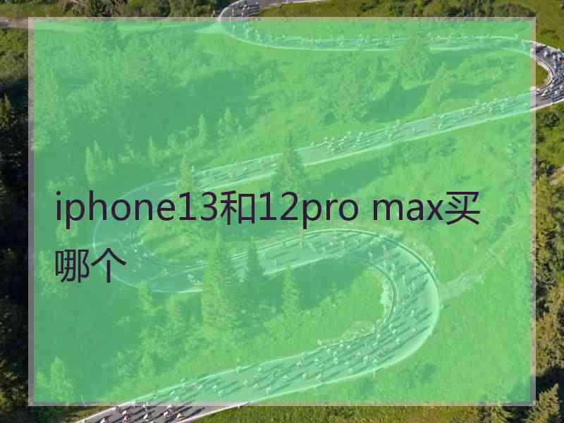 iphone13和12pro max买哪个