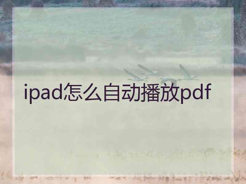 ipad怎么自动播放pdf