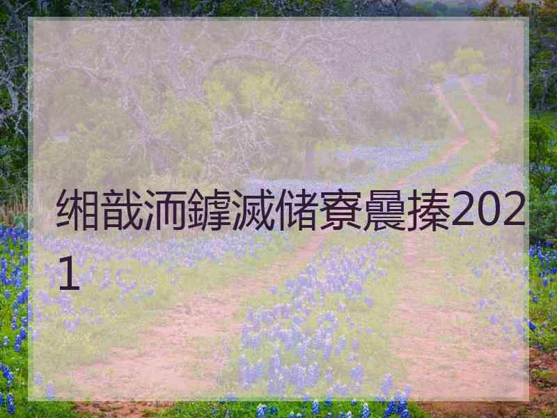 缃戠洏鎼滅储寮曟搸2021