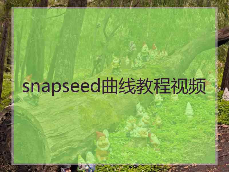 snapseed曲线教程视频