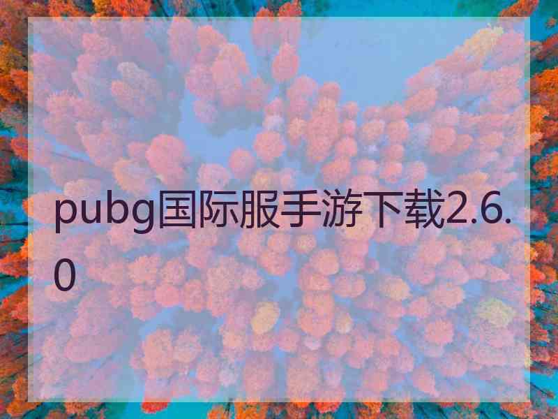 pubg国际服手游下载2.6.0