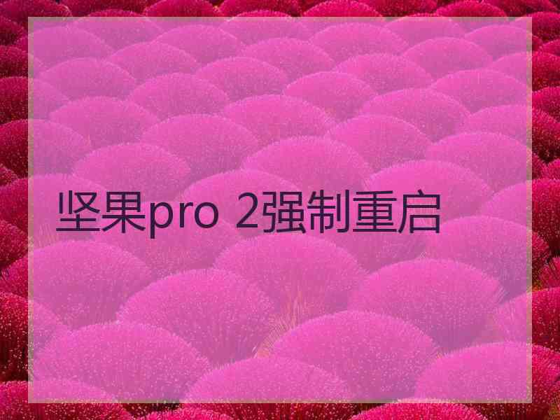 坚果pro 2强制重启