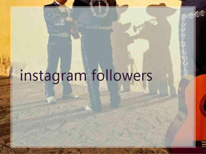 instagram followers