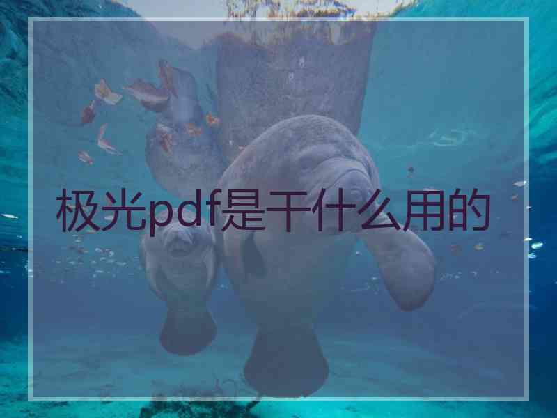 极光pdf是干什么用的