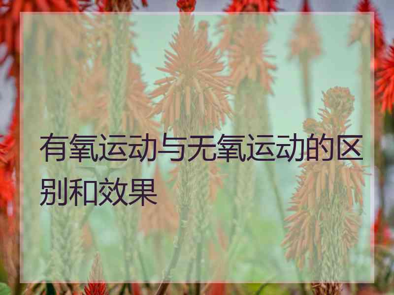 有氧运动与无氧运动的区别和效果