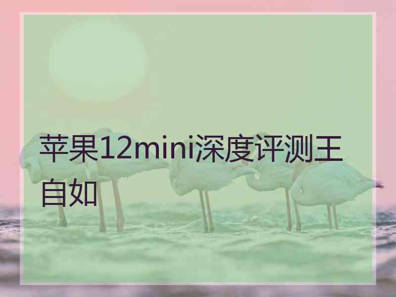 苹果12mini深度评测王自如