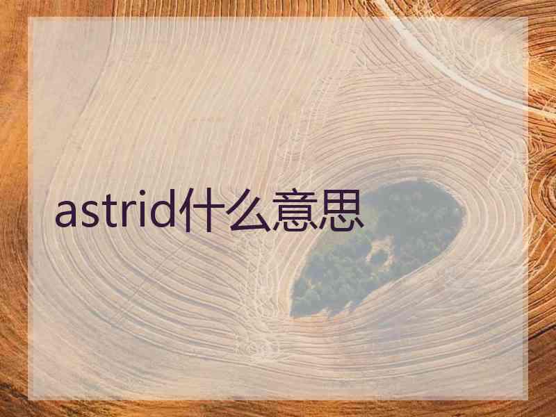 astrid什么意思