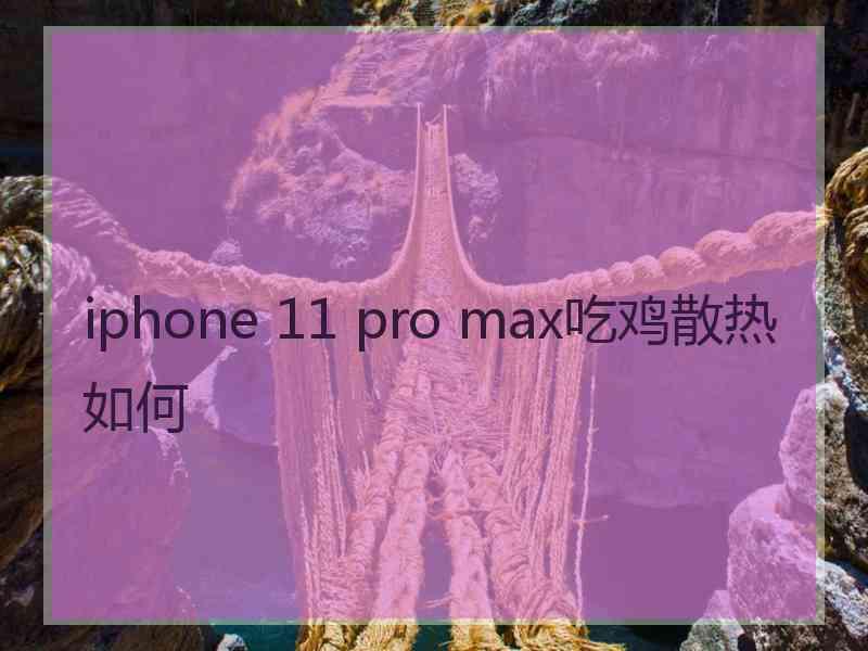 iphone 11 pro max吃鸡散热如何