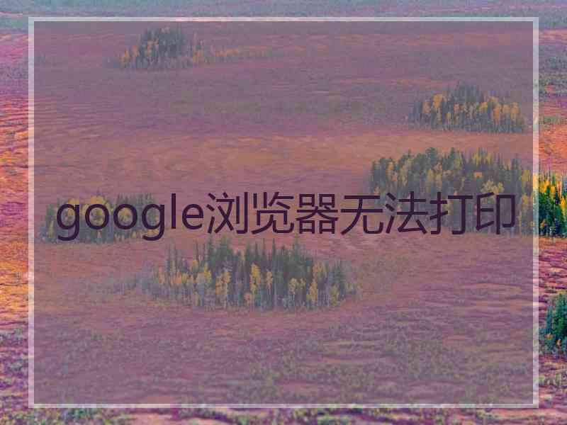 google浏览器无法打印