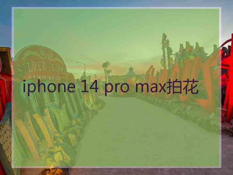 iphone 14 pro max拍花