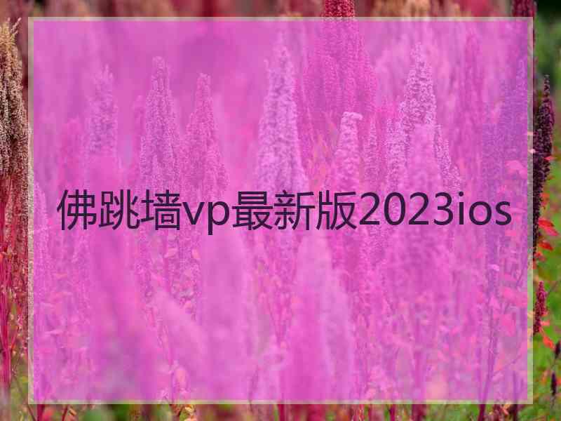 佛跳墙vp最新版2023ios