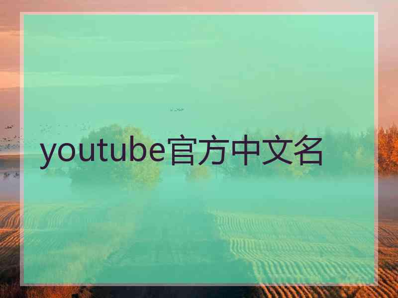 youtube官方中文名