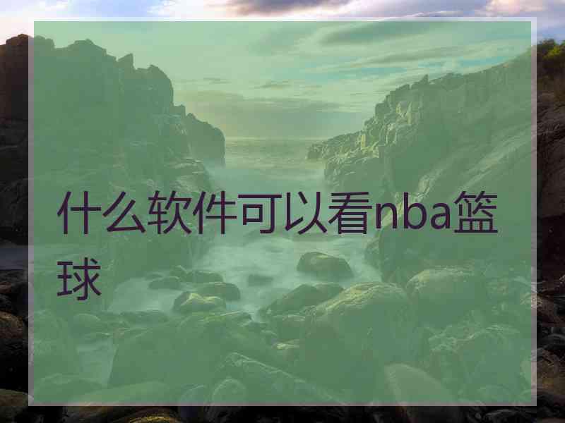 什么软件可以看nba篮球