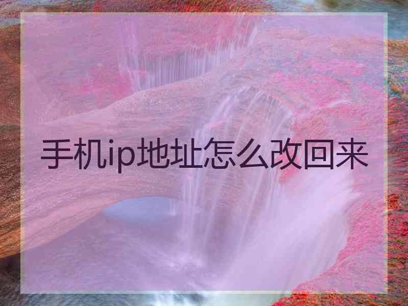 手机ip地址怎么改回来